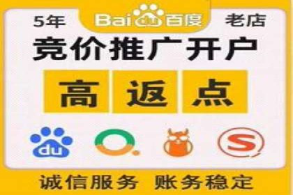 谷歌竞价案例：快速提升品牌影响力的广告策略